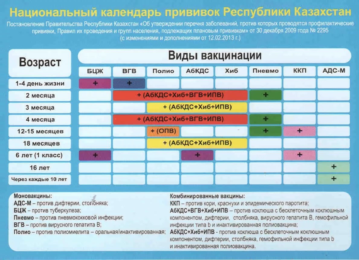 Национальный календарь прививок для детей России, Беларуси, Казахстана 2024 года