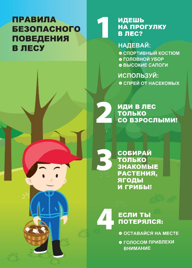 Ормандағы қауіпсіздік ережелері / Правила безопасности в лесу