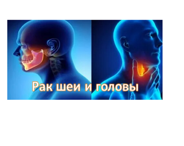 2015 жылдан бастап жыл сайын бүкіл әлем алғаш рет Дүниежүзілік бас және мойын обырына қарсы күрес күнін атап өтеді / Ежегодно начиная с 2015 года впервые весь мир отмечает Всемирный день борьбы против рака Головы и шеи